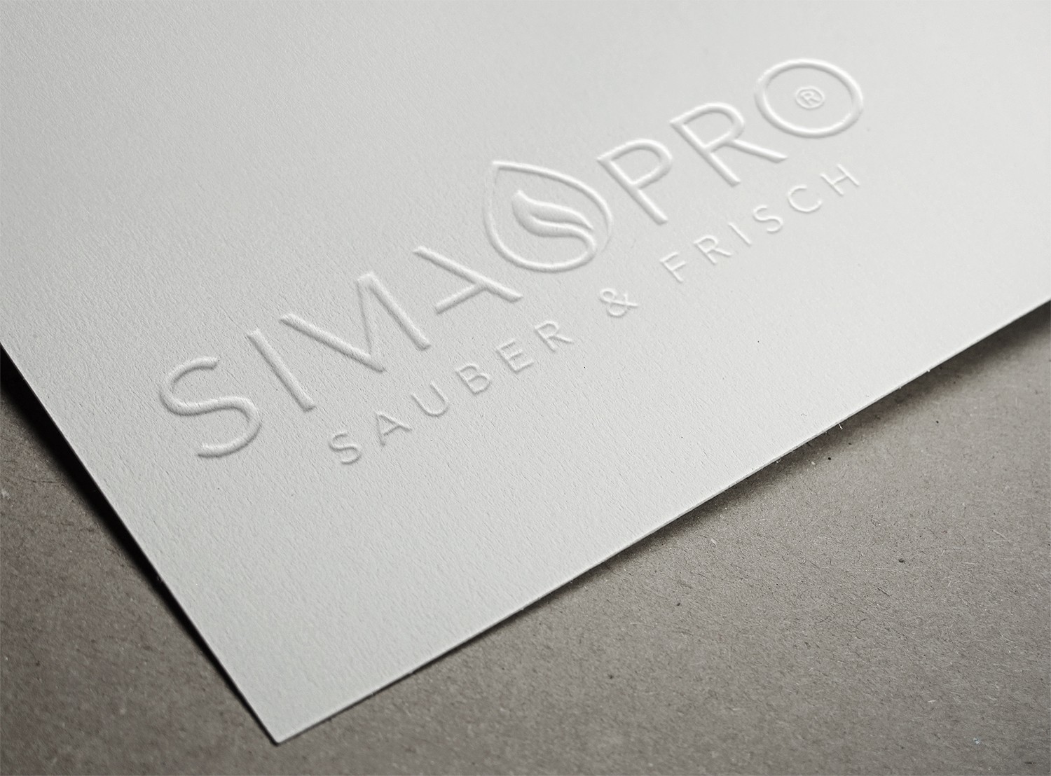SimaPro Kunden Projekte